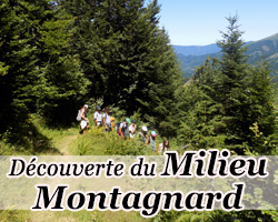classe de découverte - milieu montagnard
