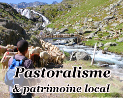 classe de découverte -pastoralisme et patrimoine local