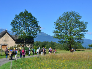 colonie mutiactivites pour enfants - campagne et montagne