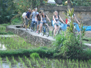 sejours pour ados a l'etranger - bali