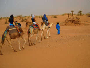 sejours pour ados a l'etranger - Marrakech